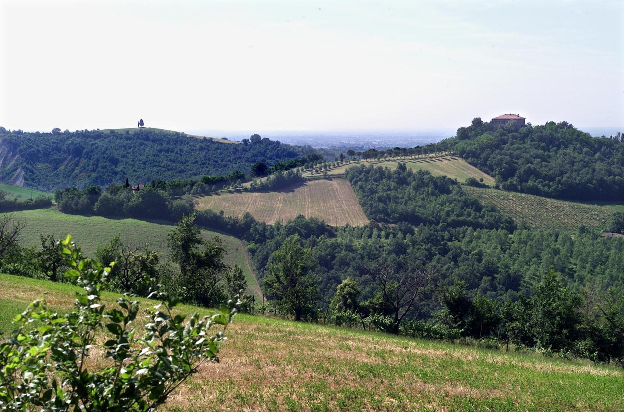 Agriturismo Montevecchio Isolani Monte San Pietro Экстерьер фото