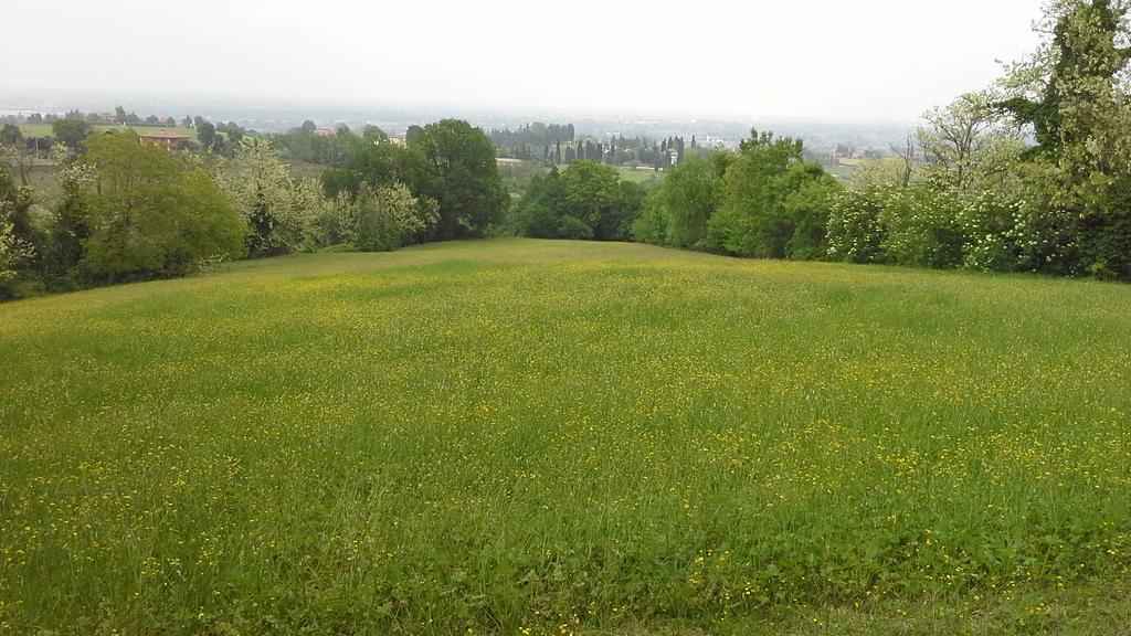 Agriturismo Montevecchio Isolani Monte San Pietro Экстерьер фото